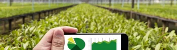 Tecnologia no agro: solução real ou custo desnecessário