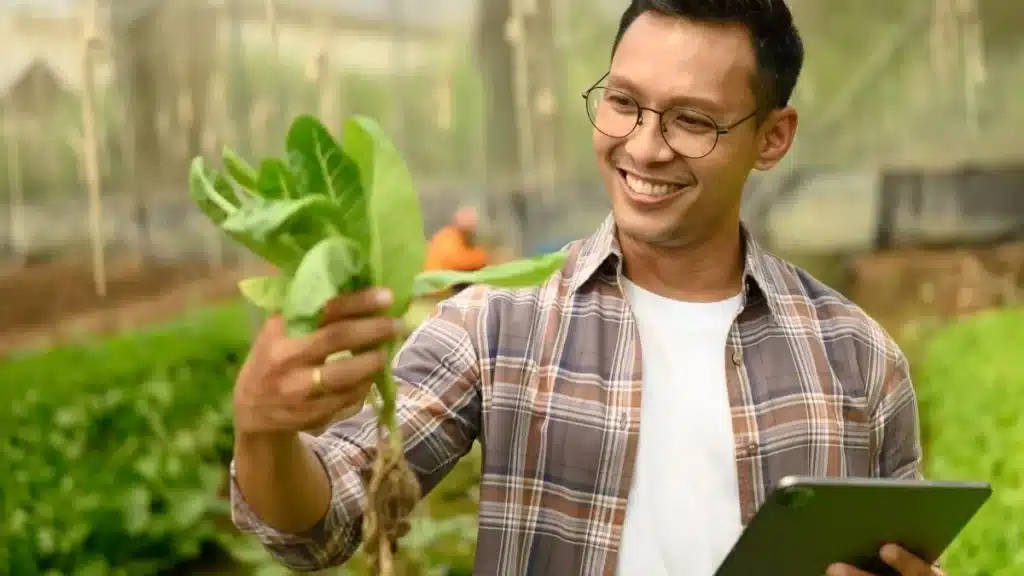 perdas na safra agrícola