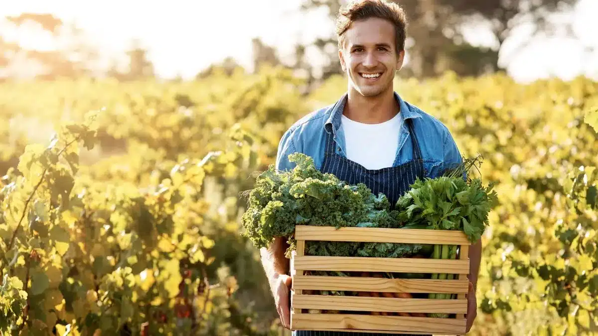 programa Desenrola Rural