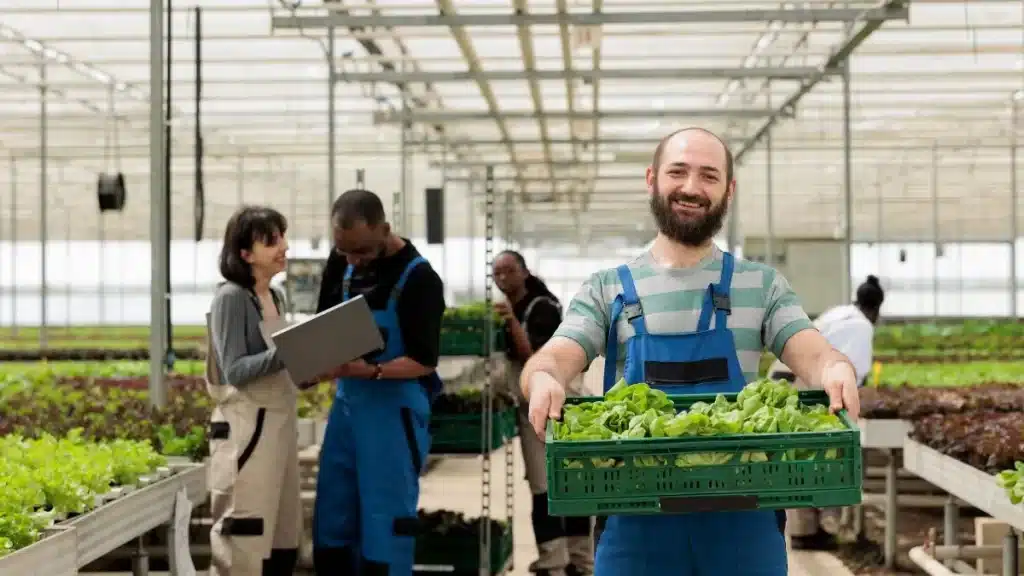 Agricultura empresarial: o modelo por trás do crescimento sustentável