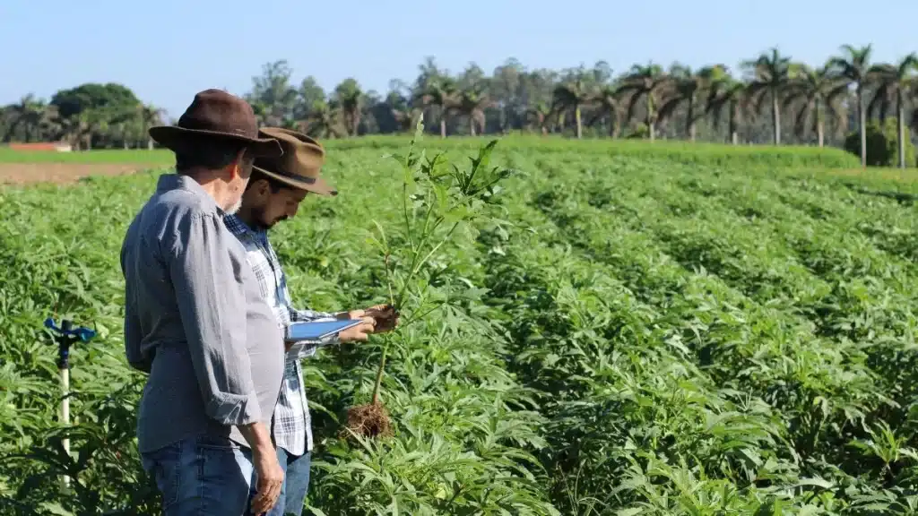 agricultura sustentável no brasil