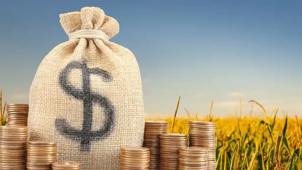 Financiamento agrícola 2026