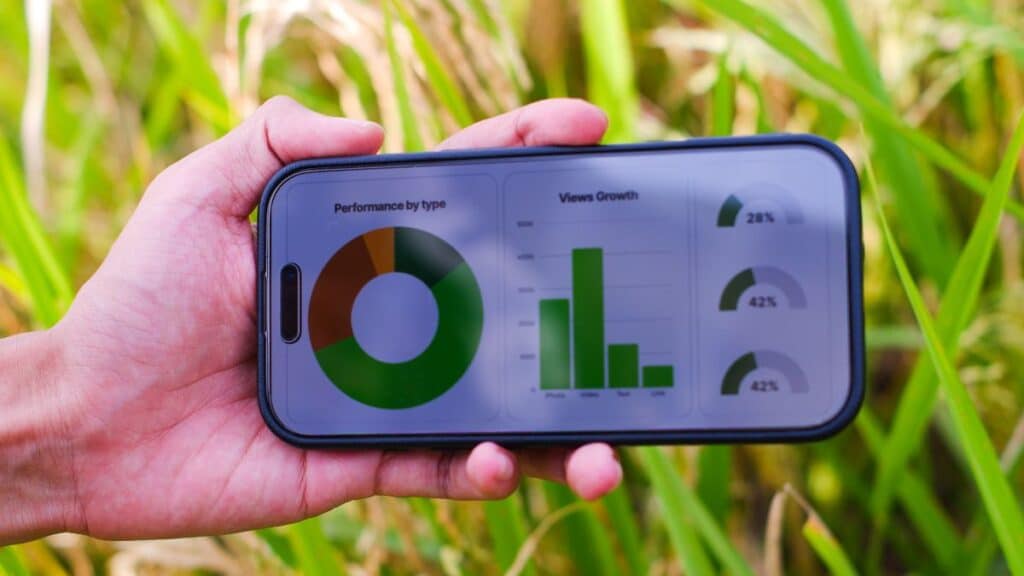 gestão financeira no campo