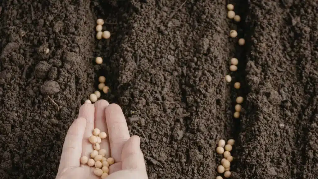 sustentabilidade agrícola