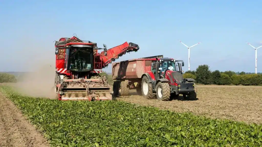 Produtividade agrícola com eficiência, não com excesso