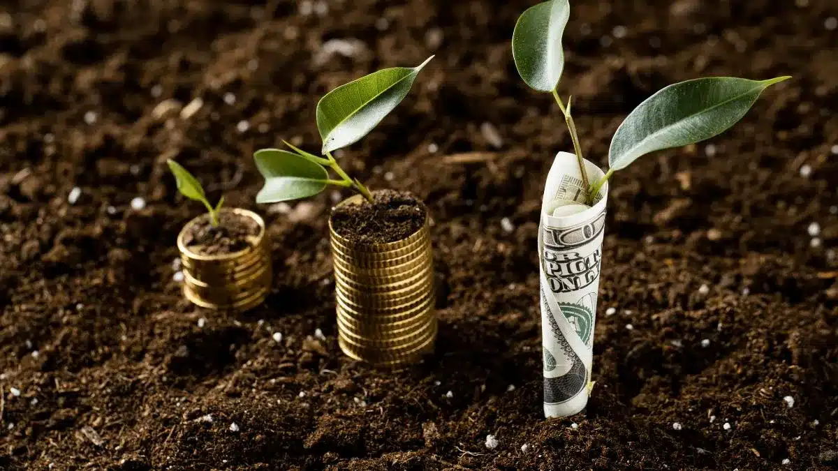 rentabilidade da produção agrícola