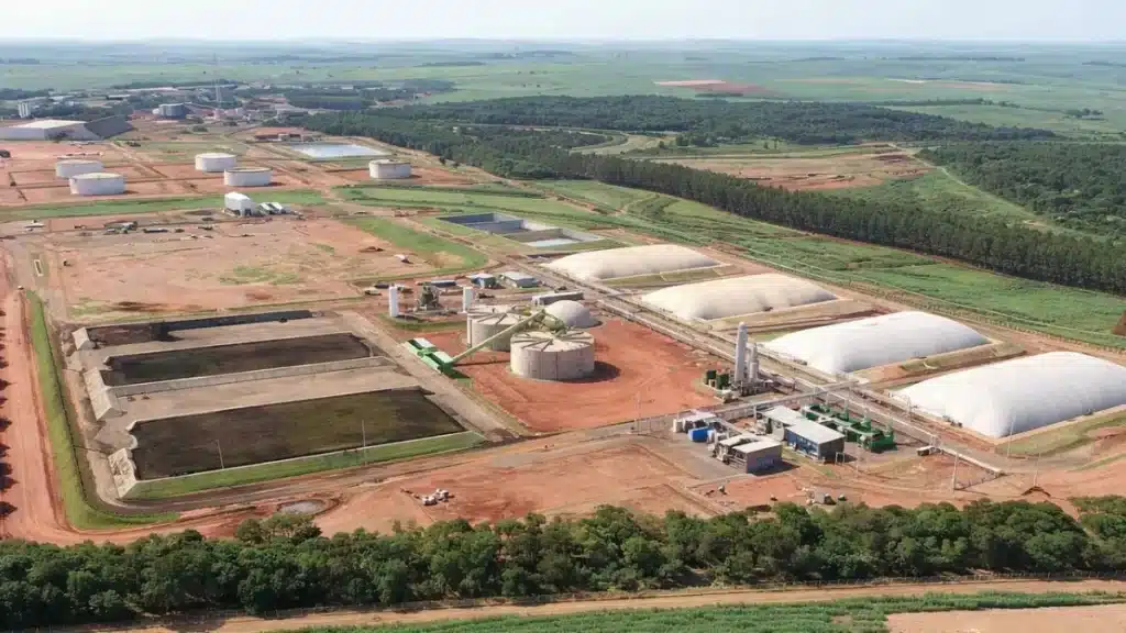 como funciona o agronegócio