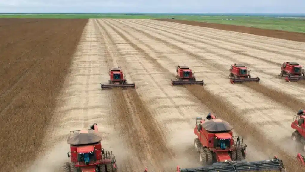 a importância do agronegócio para o brasil