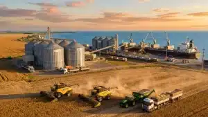 A importância do agronegócio para o Brasil: os números que explicam a força do setor