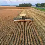 Agronegócio lidera ranking de reputação corporativa no Brasil aponta estudo da SEC Newgate