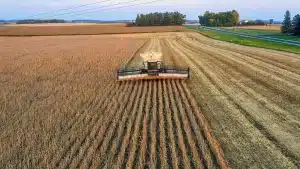 Agronegócio lidera ranking de reputação corporativa no Brasil