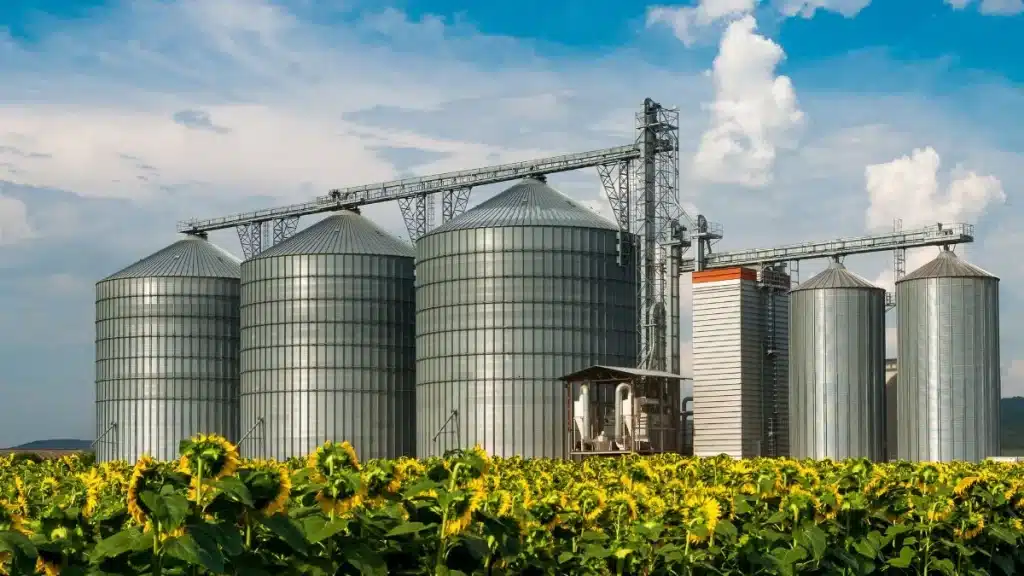 agronegócio no brasil