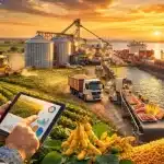 O que é o agronegócio na prática? Do campo à exportação