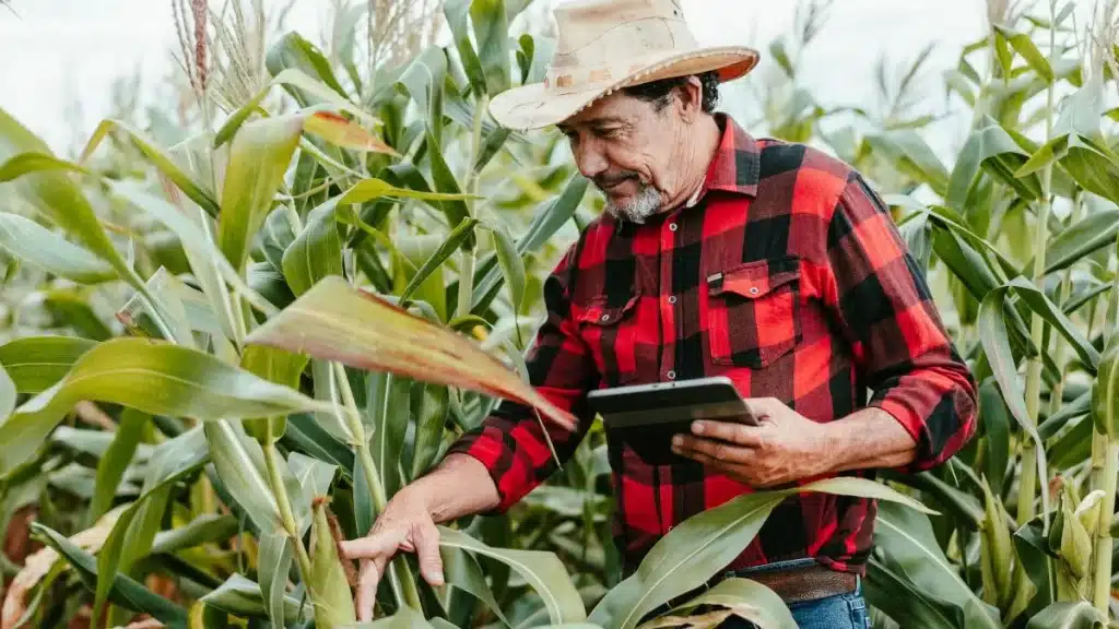 a importância do uso da tecnologia na agricultura brasileira