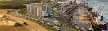 Setores do agronegócio: oportunidades que poucos produtores exploram