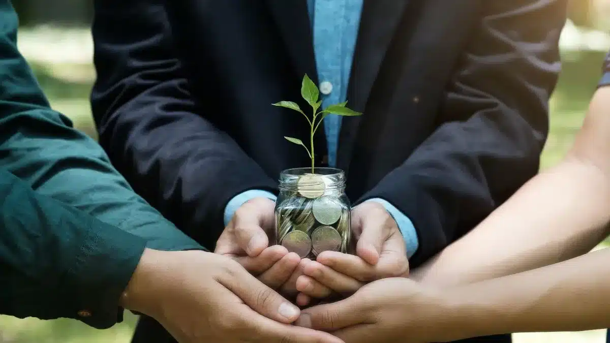 Sustentabilidade agrícola dá lucro? Veja dados reais do agro brasileiro