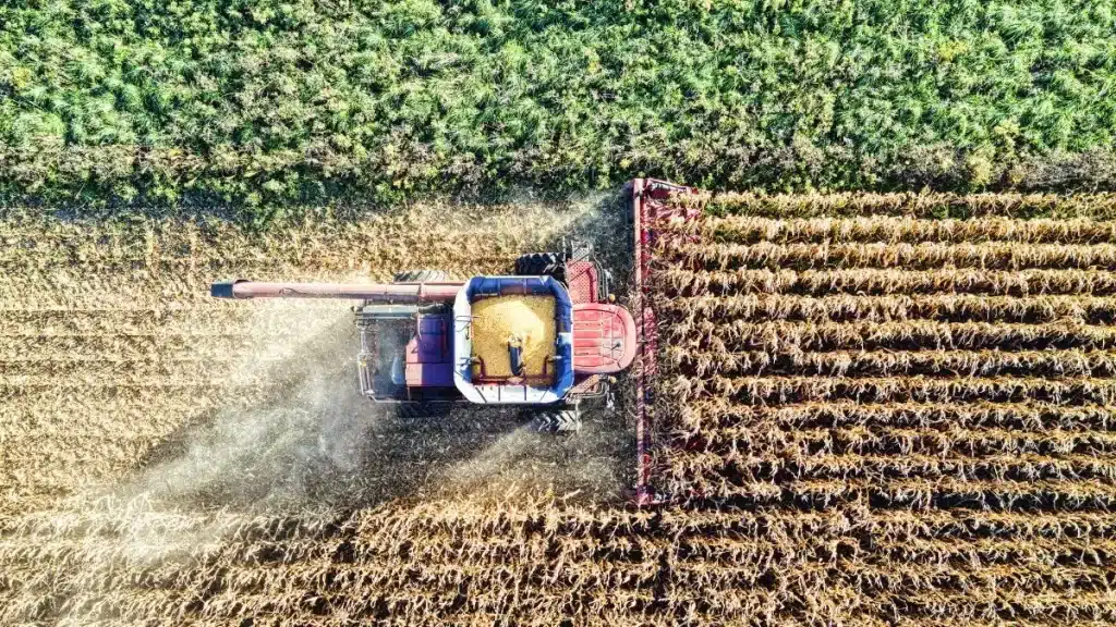 agronegócio no brasil