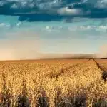 O que está impulsionando o crescimento do agronegócio no Brasil?