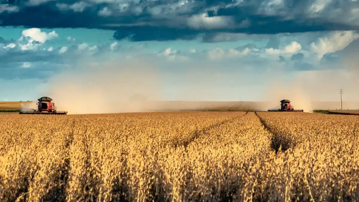 crescimento do agronegócio no Brasil