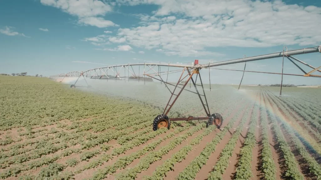 Sustentabilidade agrícola dá lucro