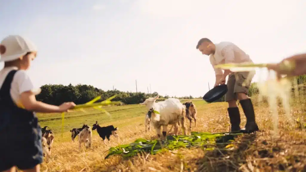 Agricultura familiar no Brasil