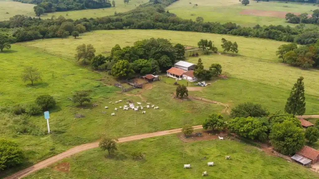 Qual a diferença entre agricultura e agropecuária que muita gente confunde