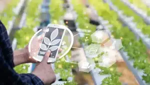 Como a tecnologia na agricultura aumenta a produtividade e reduz custos
