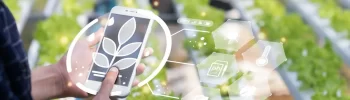Como a tecnologia na agricultura aumenta a produtividade e reduz custos