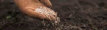 Dependência de fertilizantes importados preocupa o agronegócio brasileiro e acelera a transição verde