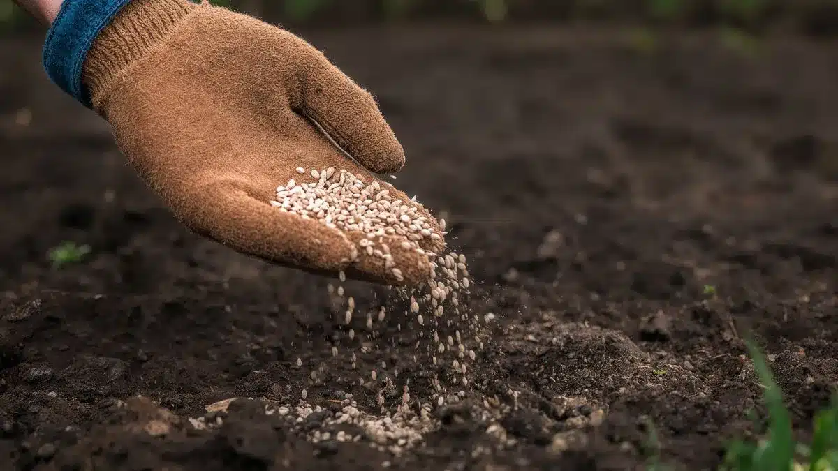 Dependência de fertilizantes importados preocupa o agronegócio brasileiro e acelera a transição verde