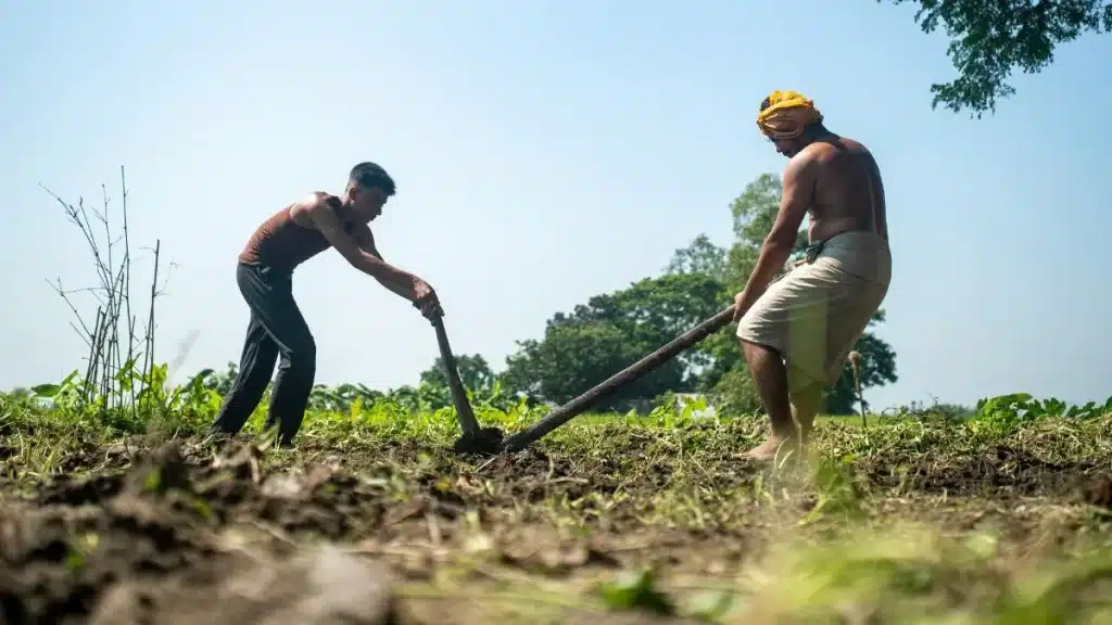 Desafios e oportunidades na agricultura familiar