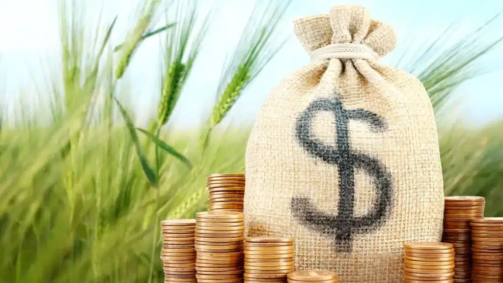 como usar o crédito rural para aumentar a produtividade