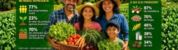 Importância da agricultura familiar em números: o impacto que você precisa conhecer