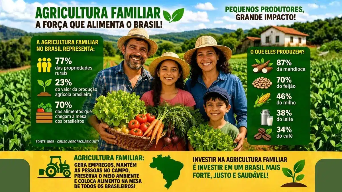Importância da agricultura familiar em números: o impacto que você precisa conhecer