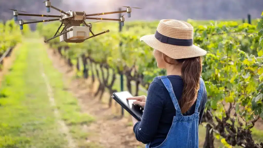 O futuro do agronegócio no Brasil