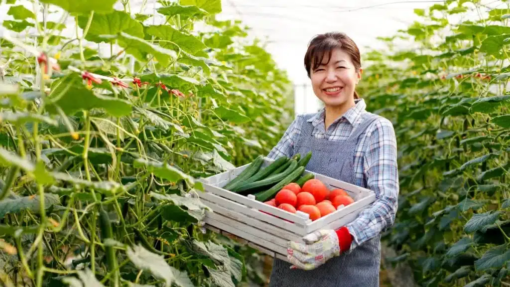 diferença entre agricultura e agropecuária 