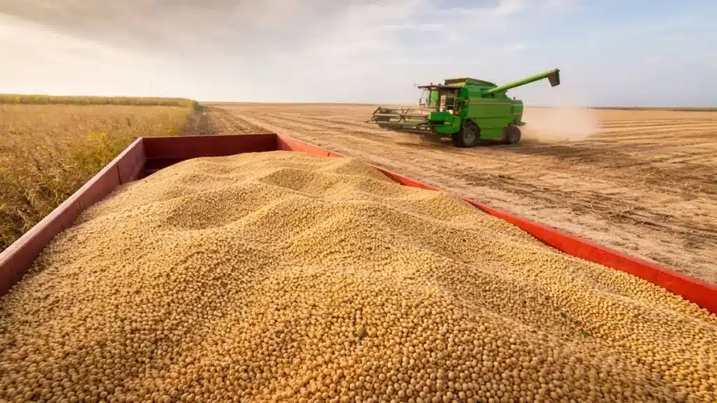 O que é agricultura comercial