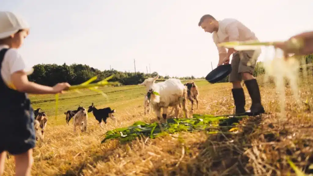 O que é agricultura familiar