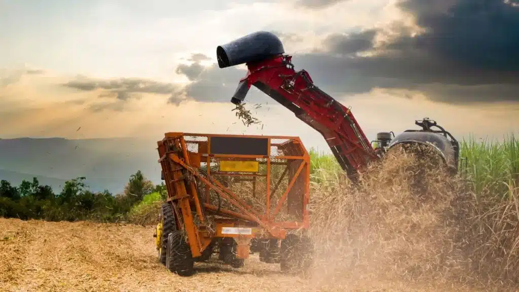 O que é agronegócio no Brasil
