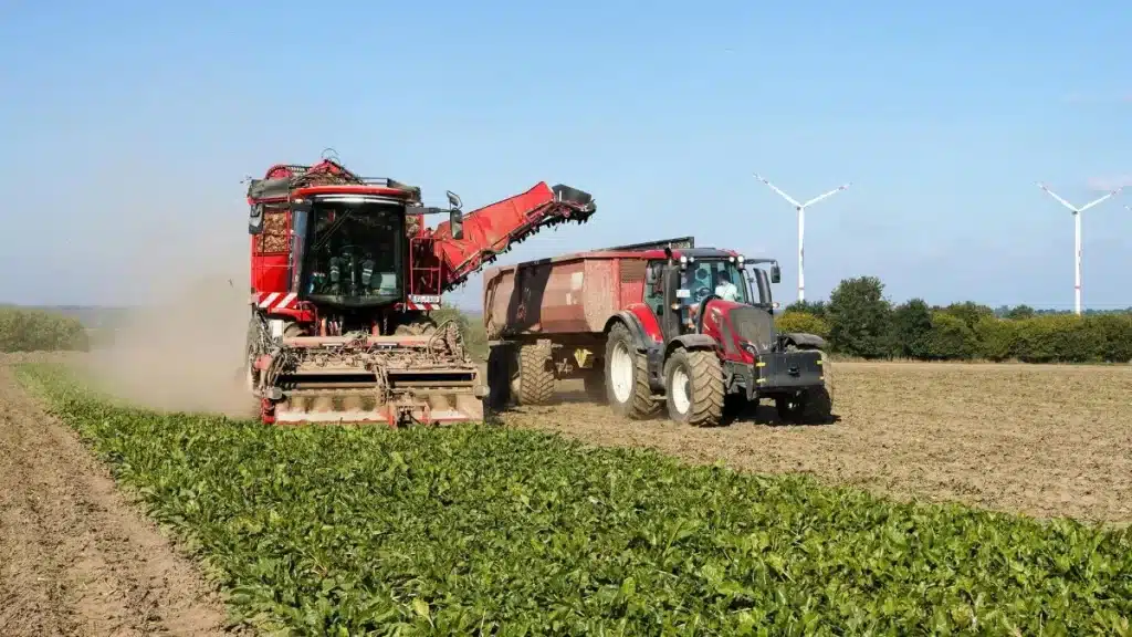 Principais características do agronegócio