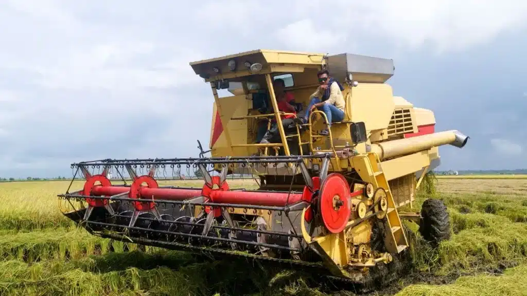 Qual a importância da agropecuária no Brasil