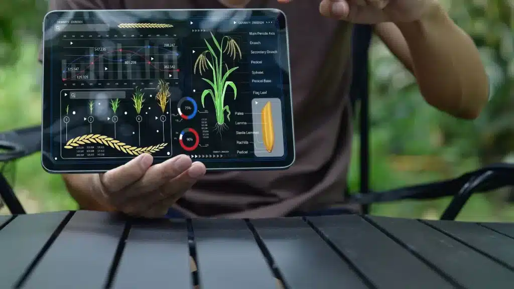 Softwares de gestão agrícola