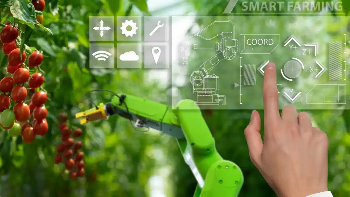 Agricultura 4.0: o que é e como está revolucionando o agronegócio