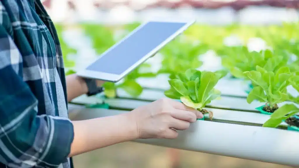 Agricultura moderna e tecnologia