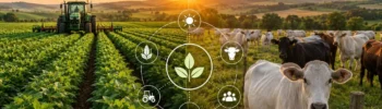 qual a diferença entre agricultura e pecuária