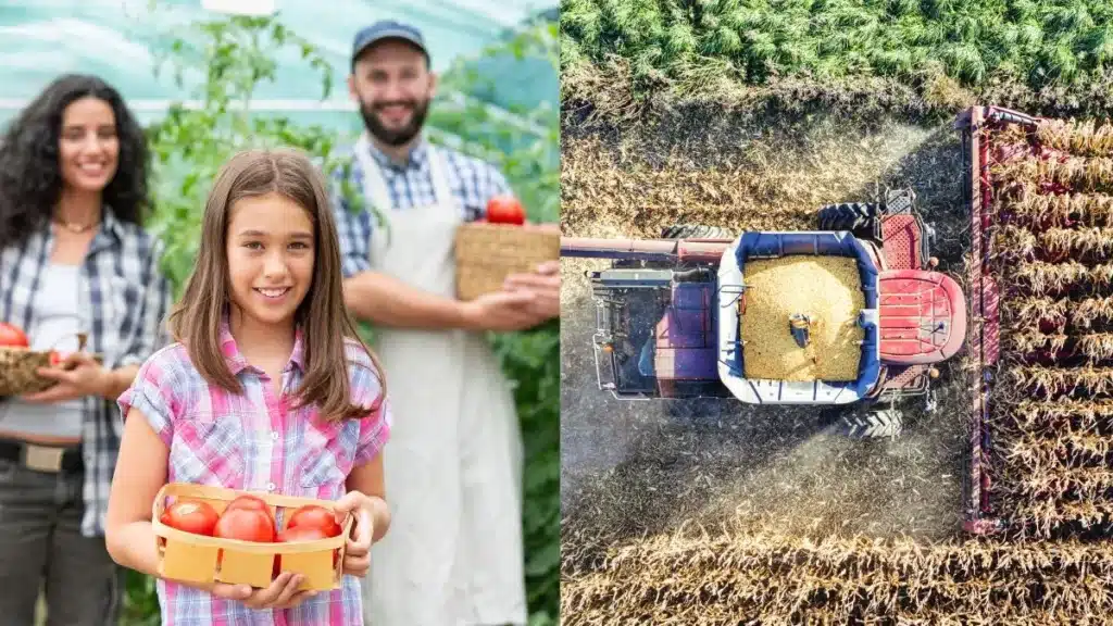 Diferença entre agricultura familiar e agricultura comercial