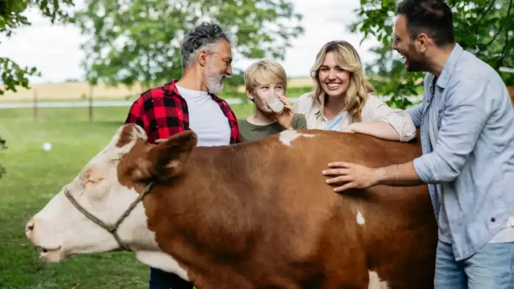 Empréstimo para agricultura familiar