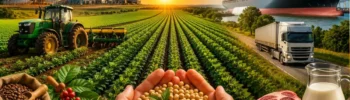 O que é agronegócio? Entenda como funciona o setor que move o Brasil