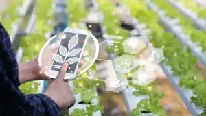 Crie uma iamgem para o titulo: O que são startups do agronegócio