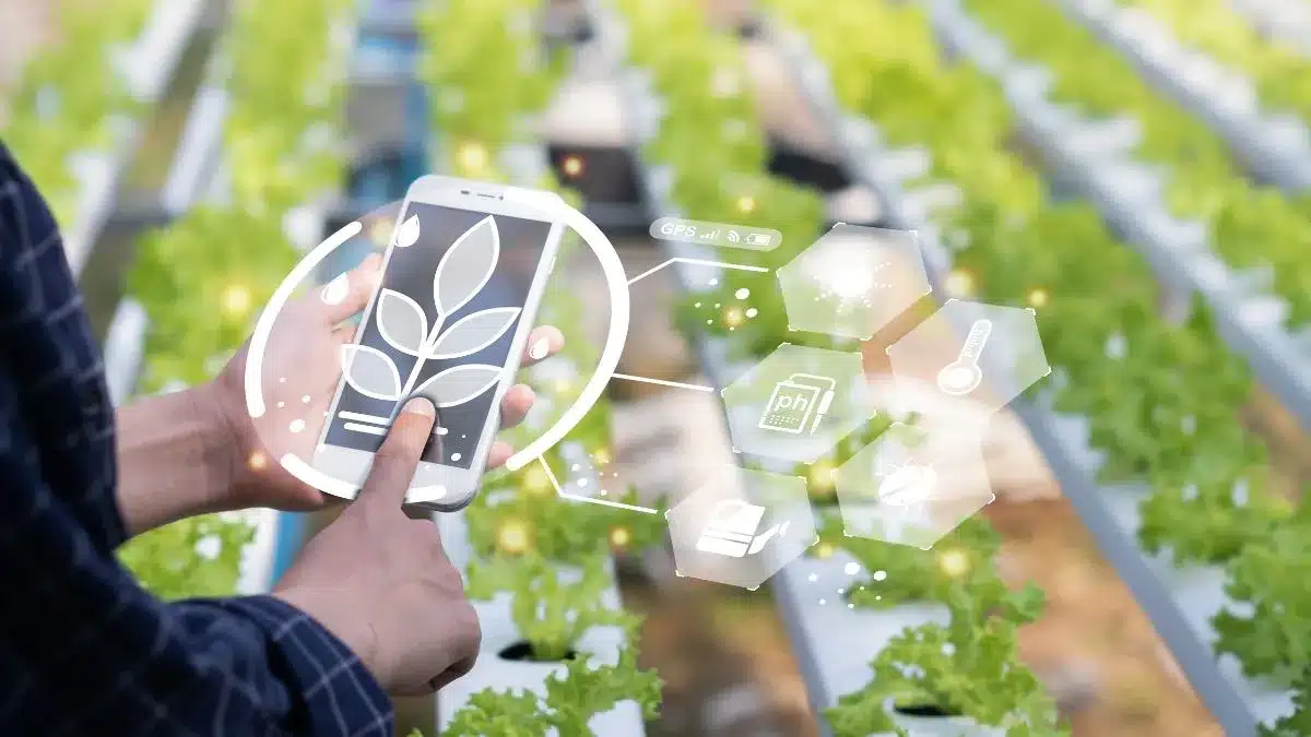 Crie uma iamgem para o titulo: O que são startups do agronegócio